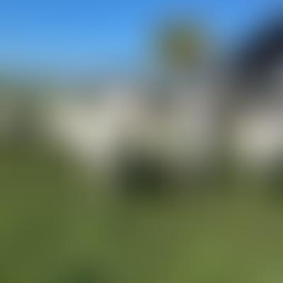 gerenpatries@live.nl